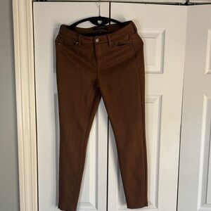 Liverpool Chocolate Brown Pants